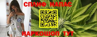 ALPHA PVP Заволжье